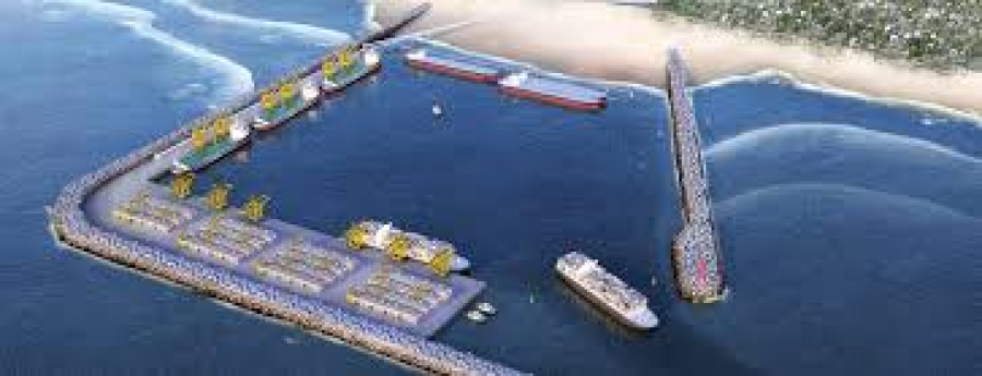 Assembleia Legislativa recebe audiência pública sobre impactos do Porto Meridional