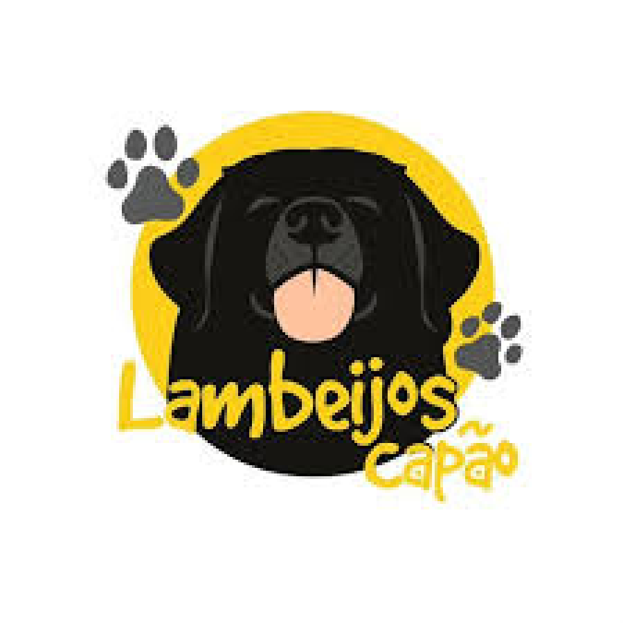 Rifa solidária da Lambeijos arrecada recursos em apoio à causa animal