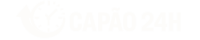 Portal Capão 24h